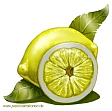 Zitrone01-k
